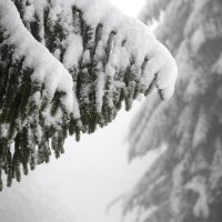 Na Sljemenu jutros izmjereno 18 centimetara snijega