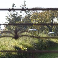 Titova vikendica kod Samobora