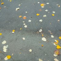 Doogee BL5000 - primjeri fotografija