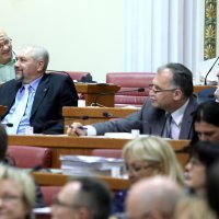 Goran Aleksić, Silvano Hrelja, Milorad Pupovac