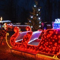 Božićna priča Zlatka Salaja