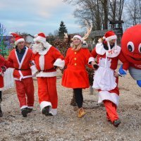 Božićna priča Zlatka Salaja
