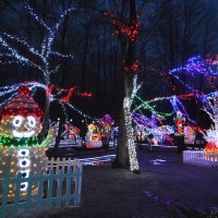 Božićna priča Zlatka Salaja