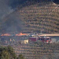 Požar u Bel Airu, elitnom dijelu Los Angelesa