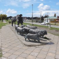 Spomenik pastiru i ovcama. Mnogi su Dalmatinci ovako započeli svoje nove južnoameričke živote