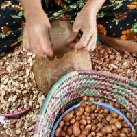 Proizvodnja arganovog ulja u Maroku