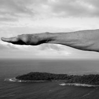 Paunovi u letu I,Peacocks in Flight I, Lokrum, Dubrovnik, 2017