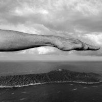 Paunovi u letu II, Peacocks in Flight II, Lokrum, Dubrovnik, 2017