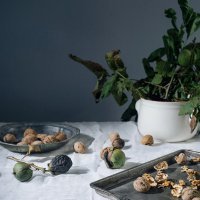 Marko Miščević, 2017