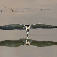 Jezero Van u Turskoj