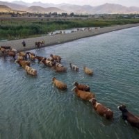 Jezero Van u Turskoj