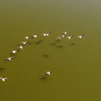 Jezero Van u Turskoj