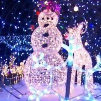 Lampice, lampice svijetle cijelu noć