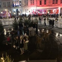 Apple iPhone X - primjeri fotografija