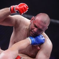 Damir Tovarović (4)