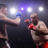 Damir Tovarović (6)