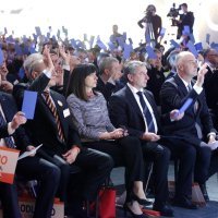 Sabor Hrvatske narodne stranke bira predsjednika stranke