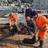 Čišćenje Porta od naplavina donesenim morem i snažnim vjetrom