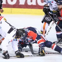 KHL Medveščak - Dornbirner Bulldogs EC (3)