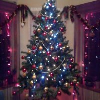 Božićna drvca tportalovih čitatelja (Aleksandra Petlic)