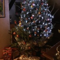 Božićna drvca tportalovih čitatelja (Nada Kozić )