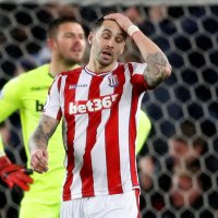 Stoke City (Geoff Cameron) - Newcastle United