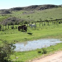 Idilični pejzaži na putu prema La Higueri