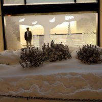 Snježna mećava stigla do New Yorka