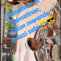 Doris Pinčić Rogoznica s obitelji u Dubaiju