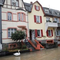 Izlijevanje rijeke Moselle u Bernkastel-Kues