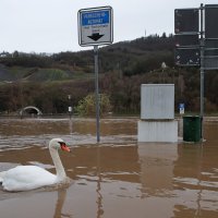 Izlijevanje rijeke Moselle u Bernkastel-Kues