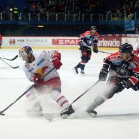 Medveščak - RB Salzburg (6)