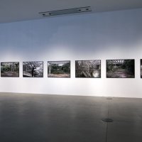 Jasenko Rasol, 'Distopija', 2016.