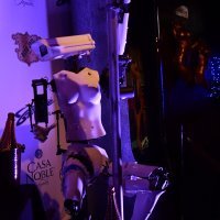 Robot striptizeta na CES-u 2018.