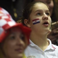 Hrvatski navijači (3)