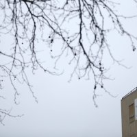 Zbog opasnosti od salmonele Lactalis s tržišta povukao mlijeko u prahu