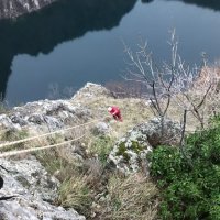 Spašavanje aljaškog malamuta