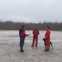 Spašavanje aljaškog malamuta