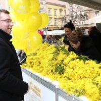 Obilježavanje Dana mimoza