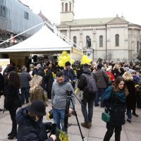 Obilježavanje Dana mimoza