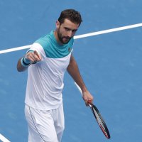 Marin Čilić (2)