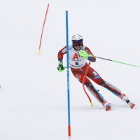 Henrik Kristoffersen (2)