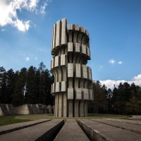 Dušan Džamonja, Kozara