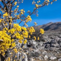 Planinarski dom Paklenica