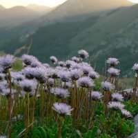 Planinarski dom Paklenica