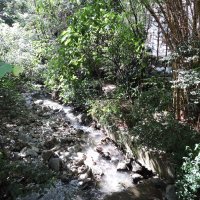 El Poblado, luksuzni dio Medellina sačuvao je parkove