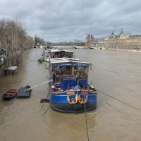 Nabujala Seine prijeti Parizu