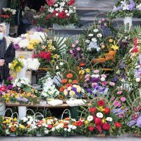 Nesnosni smrad s Karepovca širi se gradskim grobljem Lovrinac