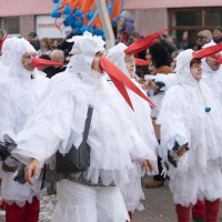 24. Đakovački bušari, najveća pokladna manifestacija istočne Hrvatske