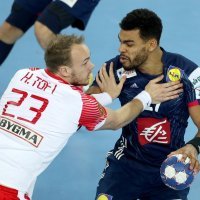 Adrien Dipanda protiv Danske